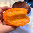 184 Malominusinsky Orange Tomato, 5 Seeds