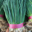 Jiemei Black-leaf Chives Seeds, 5g