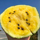 Linglong Yellow Watermelon, 20 Seeds