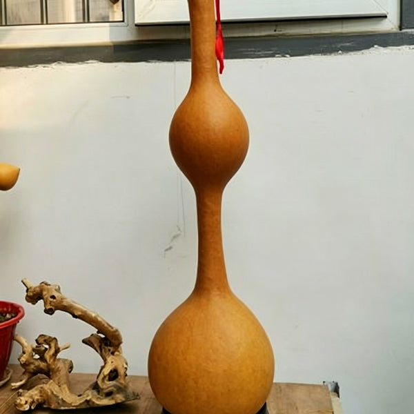 Da San Ting Gourd, 5 Seeds