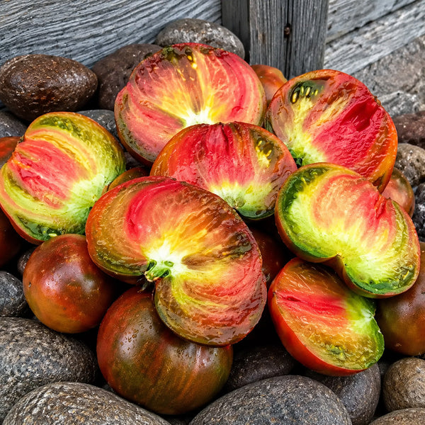 67 Dwarf Crimson Sunset Tomato, 5 Seeds