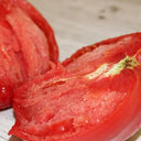 971 Pink Scallop Tomato, 5 Seeds