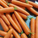 'Zhongyu 1870 F1' Carrot Seeds, 5g