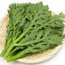 Medium-Leaf Garland Chrysanthemum Seeds, 20g
