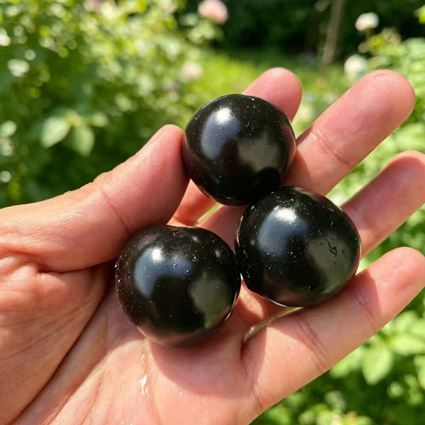 933 Sweet Black Almond Cherry Tomato, 5 Seeds