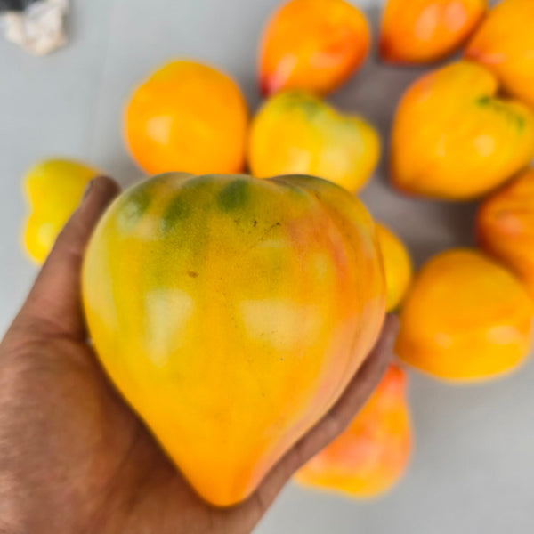 757 Amber Sergeant F2 Tomato, 5 Seeds