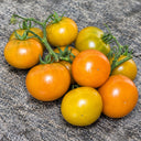 66 Dwarf Soul Patch Tomato, 5 Seeds