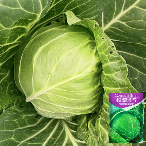 Iron Green 45 Cabbage, 10g