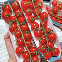 Minusinsk Red Cherry Tomato Seeds, 5 Seeds