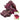 Red-Leaf Chard Seeds, 5g
