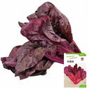 Red-Leaf Chard Seeds, 5g