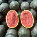 Black Beauty Watermelon, 20 Seeds