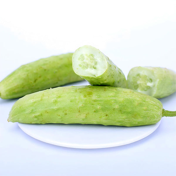 White Cucumber Seeds with Thorns