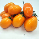 'Radiant Gold' Yellow Tomato Seeds