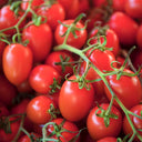 'Red Saint' Cherry Tomato