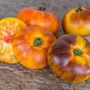 944 P20 Beauty King Tomato, 5 Seeds