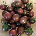 Reinhard Kraft's Purple Sugar Cherry Tomato, 5 Seeds
