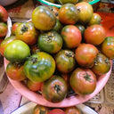 Sweet Heart Fruit Tomato, 100 Seeds