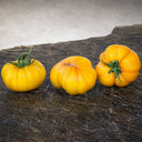 654 Wilthyme Bi-Color Tomato, 5 Seeds