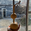 Xiaosan Ting Gourd, 10 Seeds