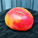 309 Manhattan Bicolor Tomato, 5 Seeds