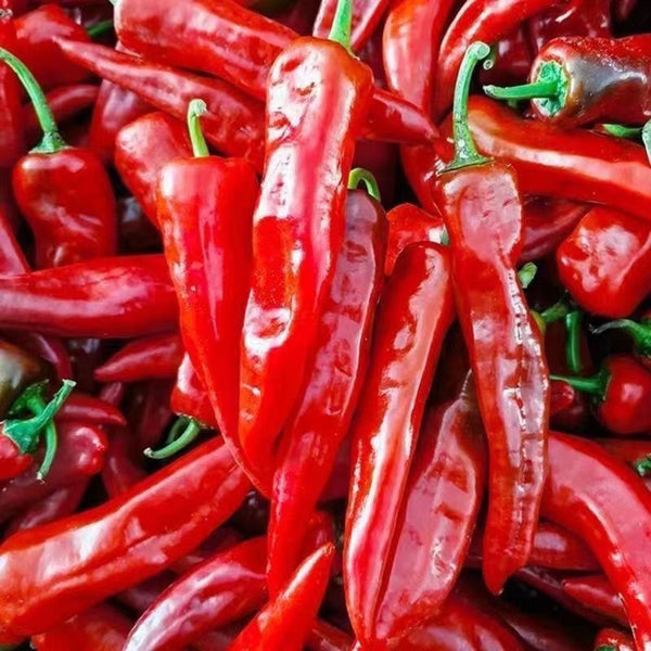 Extra Spicy 'La Mei Zi' Pepper Seeds, 1g