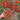 115 Cherry Accordion Tomato, 3 Seeds