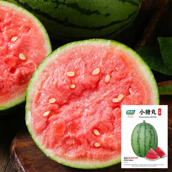 Sugar Globe Petite Watermelon Seeds, 15 Seeds