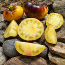 45 Wolverine Tomato, 5 Seeds