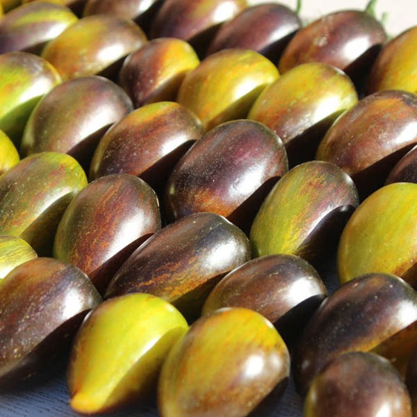 970 Cosmic Purple Tomato, 5 Seeds