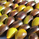 970 Cosmic Purple Tomato, 5 Seeds