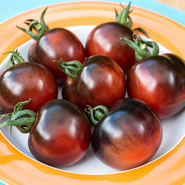 Clackamas Blueberry Indigo Tomato, 15 Seeds