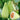 Ox Horn King Melon, 10 Seeds