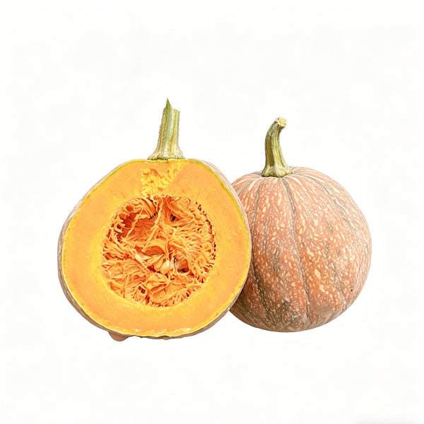 Honey Jar Pumpkin, 20 Seeds