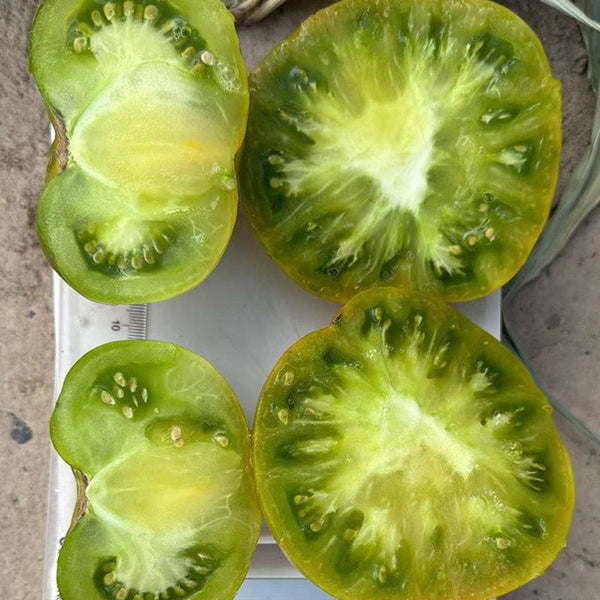 Cherokee Green Tomato, 10 Seeds