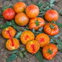 682 Variegated Dragon Tomato, 5 Seeds