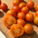 884 Honeydrop Cherry Tomato, 5 Seeds