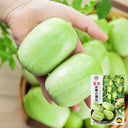 Yunü Mini Fruit Cucumber Seeds, 10 Seeds