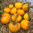 718 Heart Peach Tomato, 5 Seeds