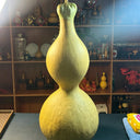 Extra-large Lotus-head Gourd, 2 Seeds
