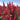 Red Rocket Larkspur, 500 Seeds