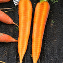 'Huangjian No.1' Carrot Seeds, 10g