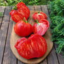 109 Yasha Yugoslavian Tomato, 5 Seeds