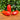 510 Hog Heart Tomato, 5 Seeds