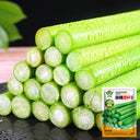 High-Sugar Sweet Sorghum Seeds, 100 Seeds