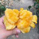 U2609 Large Yellow Persimmon Tomato, 100 Seeds