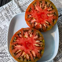 Cherokee Purple Tomato, 5 Seeds