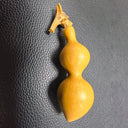 Ant Belly Gourd, 10 Seeds