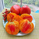 567 Sweet Peach Tomato, 5 Seeds