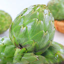 Artichoke, Green